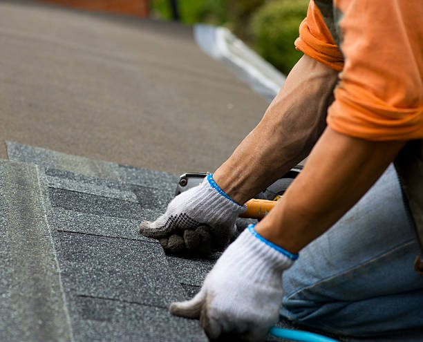 Best Flat Roof Repair Services  in Lauderhill, FL